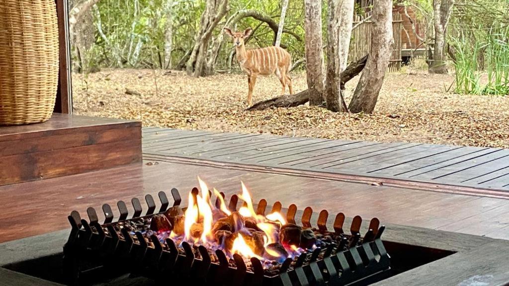 Hideaways Lazuli Bush Lodge, フルフルウェ エクステリア 写真