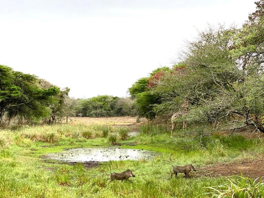 Hideaways Lazuli Bush Lodge, フルフルウェ エクステリア 写真