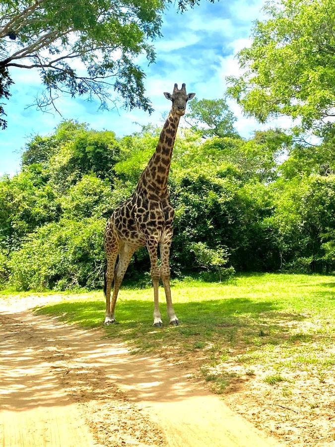 Hideaways Lazuli Bush Lodge, フルフルウェ エクステリア 写真
