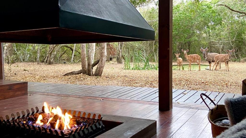 Hideaways Lazuli Bush Lodge, フルフルウェ エクステリア 写真